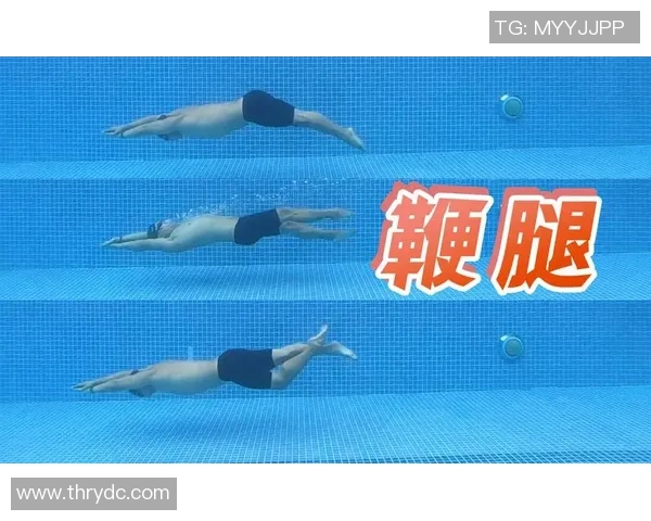 游泳姿势全解析:蛙泳、自由泳、仰泳、蝶泳的技巧与特点